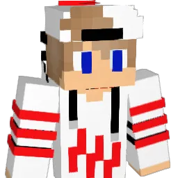 forteng1 Minecraft avatar bust