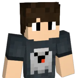 forthe48 Minecraft avatar bust