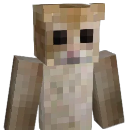 fotsvampar Minecraft avatar bust