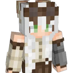 fourmisses Minecraft avatar bust