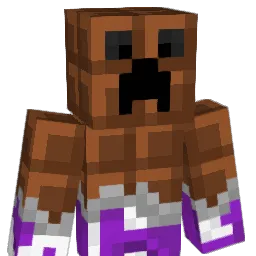 fr4ncol Minecraft avatar bust