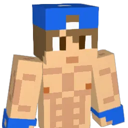 fra212 Minecraft avatar bust