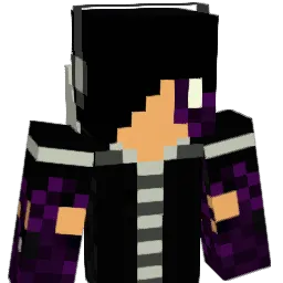 fran334 Minecraft avatar bust