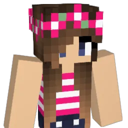 fran8500's Minecraft skin