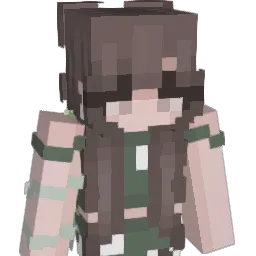 frankaaron2 Minecraft avatar bust