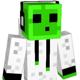 franquito3000 Minecraft avatar bust