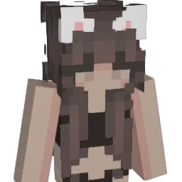 franrap's Minecraft skin