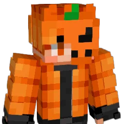 freemir_ Minecraft avatar bust
