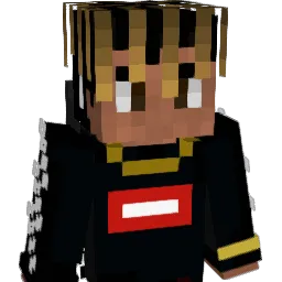 freesmoke24 Minecraft avatar bust