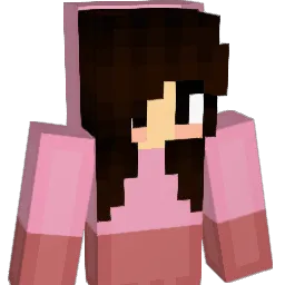 frijole239 Minecraft avatar bust