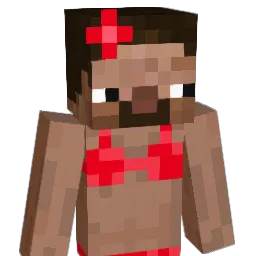 frkeji Minecraft avatar bust