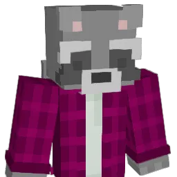 froggy9593 Minecraft avatar bust