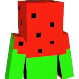 fruit_punch204 Minecraft avatar bust