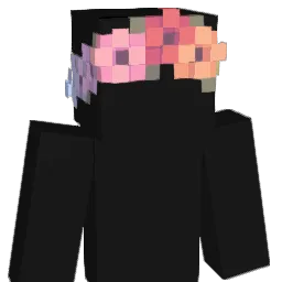frwogs's Minecraft skin