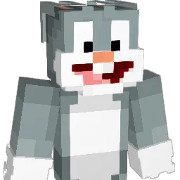 frxzzz11 Minecraft avatar bust