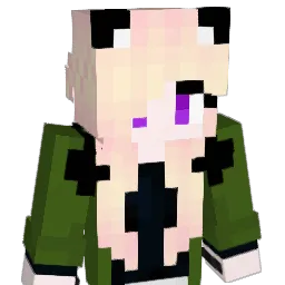 fry_rye Minecraft avatar bust