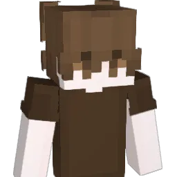 fsNorth Minecraft avatar bust