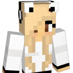 fsun262 Minecraft avatar bust