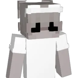fswu Minecraft avatar bust