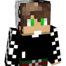 ftjy's Minecraft skin
