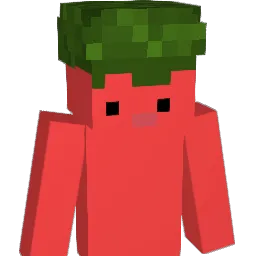 fujimet Minecraft avatar bust