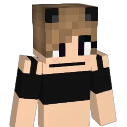 fullfungo Minecraft avatar bust