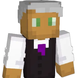 funky_time_ Minecraft avatar bust