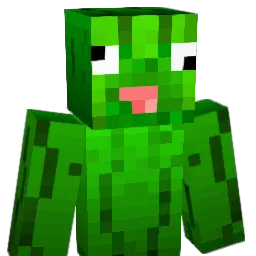 funkypickle20000 Minecraft avatar bust