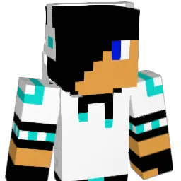 funnyjoost Minecraft avatar bust
