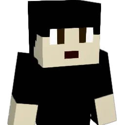 funnymonkeys888 Minecraft avatar bust