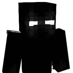 fwithjt's Minecraft skin