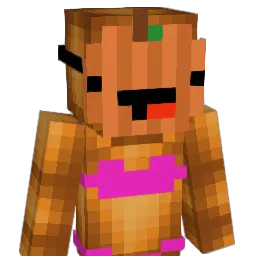 fxrrlol Minecraft avatar bust