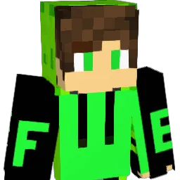 fynn2409 Minecraft avatar bust