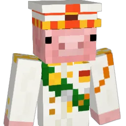 fynn5000 Minecraft avatar bust