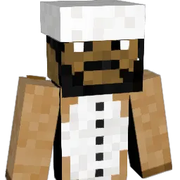 fynnboy3111 Minecraft avatar bust