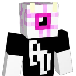 fynyquil Minecraft avatar bust