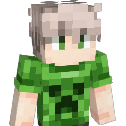 fzty's Minecraft skin