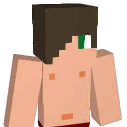 g00py_ Minecraft avatar bust