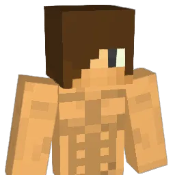 g123456879 Minecraft avatar bust