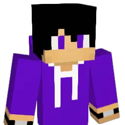 g2435x Minecraft avatar bust