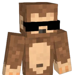 gSoos_ Minecraft avatar bust