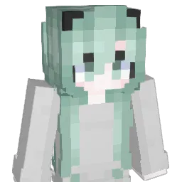 g___________g Minecraft avatar bust