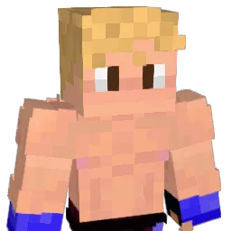 gabbemoja Minecraft avatar bust