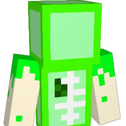 gamecrowd312011 Minecraft avatar bust