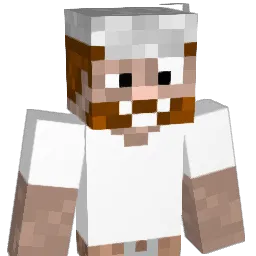 gameplay123 Minecraft avatar bust