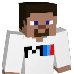 gamer_1578 Minecraft avatar bust