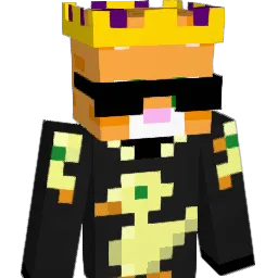 gamer_Lama4 Minecraft avatar bust