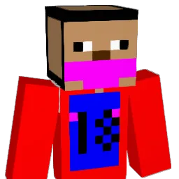 gamjacarry Minecraft avatar bust
