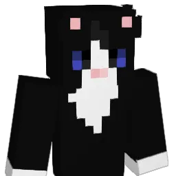 gang__07 Minecraft avatar bust