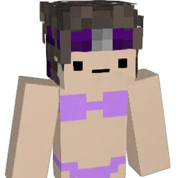 gardngnost1c Minecraft avatar bust